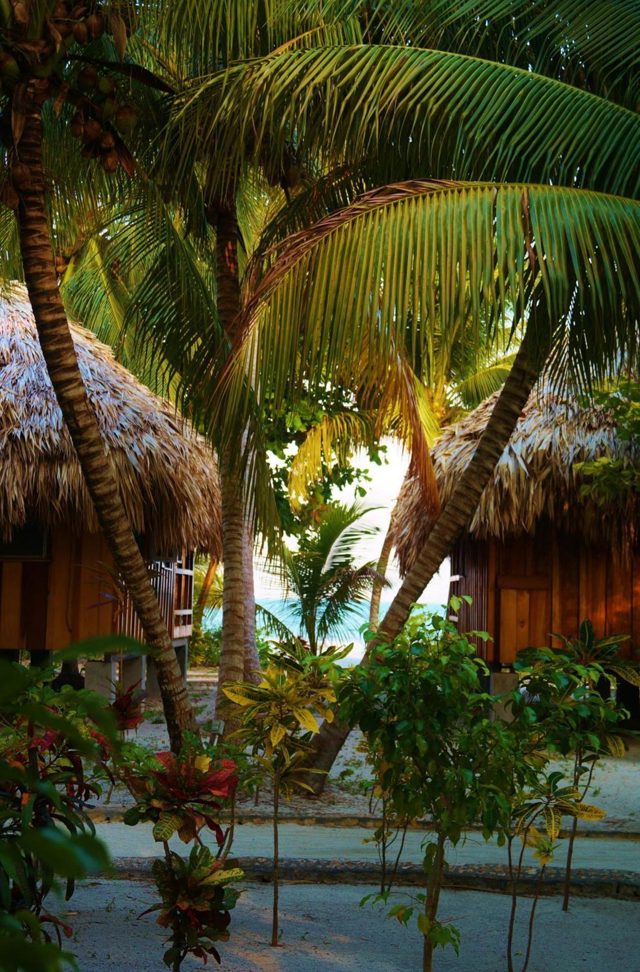 St. George'S Caye Resort Belize City Kamer foto